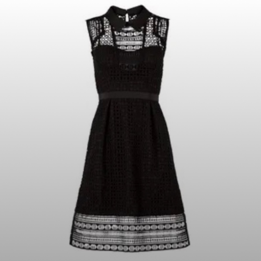 Karen Miller Collar Dress